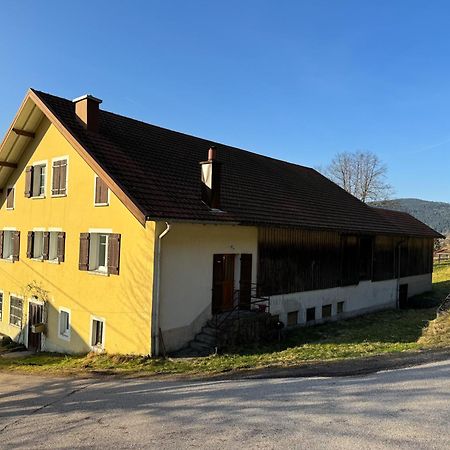 Chalet Cosy Lisiere De Foret Xonrupt-Longemer Extérieur photo
