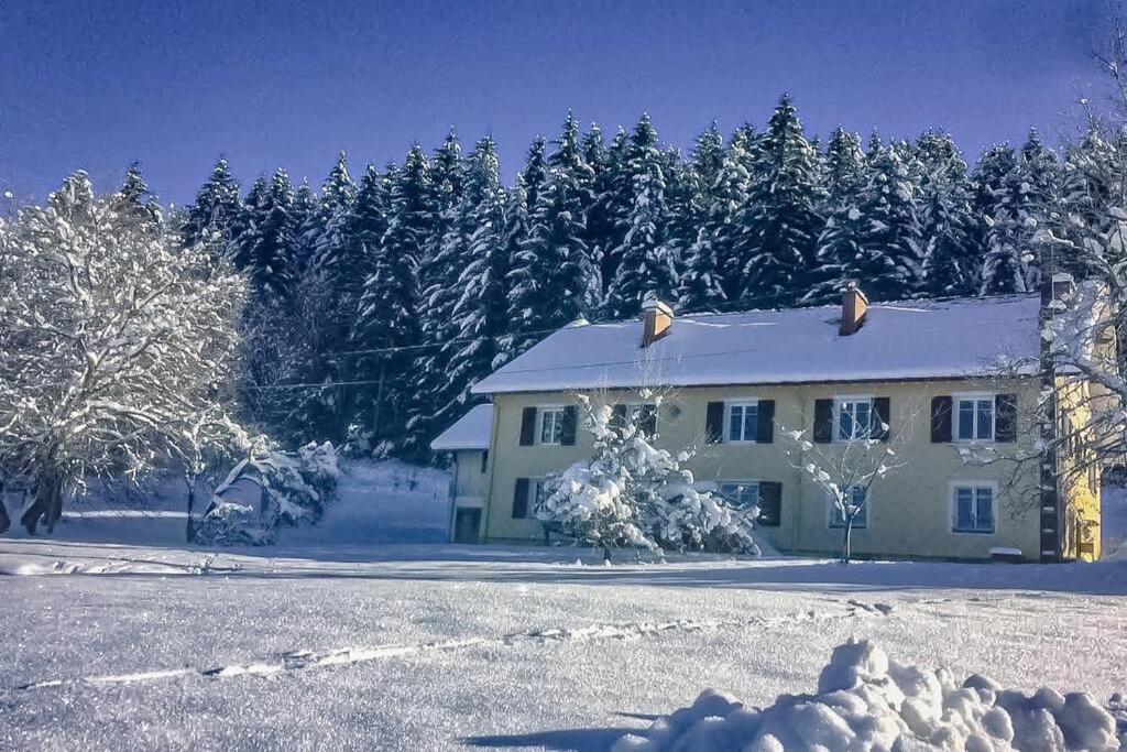 Chalet Cosy Lisiere De Foret Xonrupt-Longemer Extérieur photo