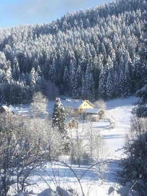 Chalet Cosy Lisiere De Foret Xonrupt-Longemer Extérieur photo