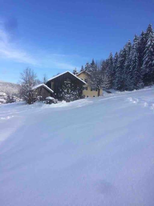 Chalet Cosy Lisiere De Foret Xonrupt-Longemer Extérieur photo